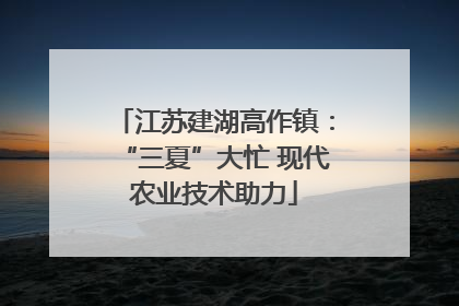 江苏建湖高作镇：“三夏”大忙 现代农业技术助力