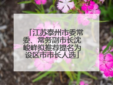 江苏泰州市委常委、常务副市长沈峻峰拟推荐提名为设区市市长人选