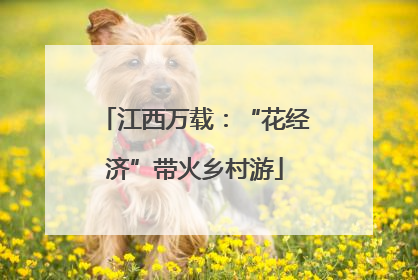江西万载：“花经济”带火乡村游