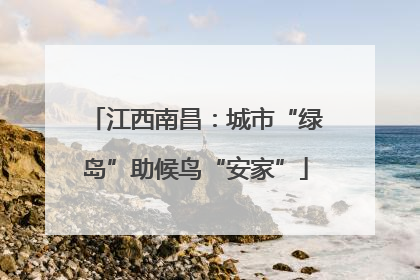 江西南昌：城市“绿岛”助候鸟“安家”