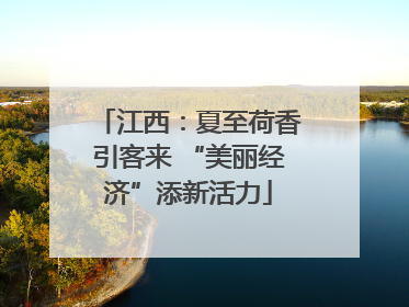 江西：夏至荷香引客来 “美丽经济”添新活力