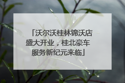 沃尔沃桂林锦沃店盛大开业，桂北豪车服务新纪元来临