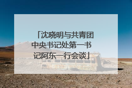 沈晓明与共青团中央书记处第一书记阿东一行会谈