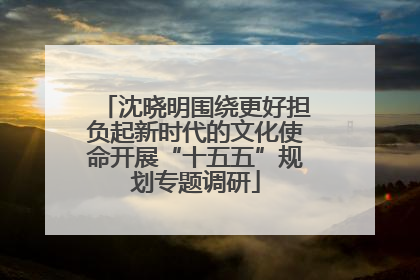 沈晓明围绕更好担负起新时代的文化使命开展“十五五”规划专题调研