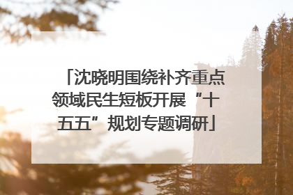 沈晓明围绕补齐重点领域民生短板开展“十五五”规划专题调研