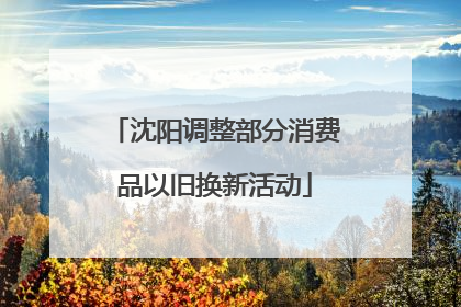 沈阳调整部分消费品以旧换新活动