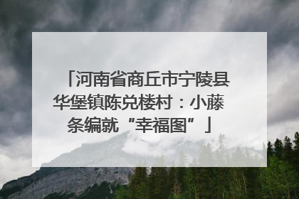 河南省商丘市宁陵县华堡镇陈兑楼村：小藤条编就“幸福图”