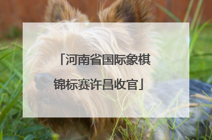 河南省国际象棋锦标赛许昌收官