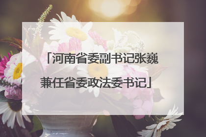 河南省委副书记张巍兼任省委政法委书记