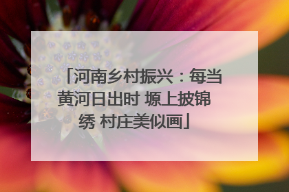 河南乡村振兴：每当黄河日出时 塬上披锦绣 村庄美似画