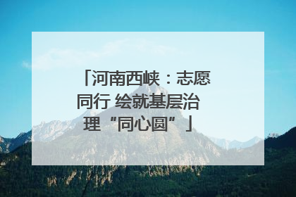 河南西峡：志愿同行 绘就基层治理“同心圆”