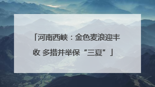 河南西峡：金色麦浪迎丰收 多措并举保“三夏”
