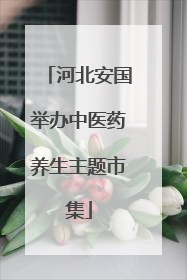 河北安国举办中医药养生主题市集