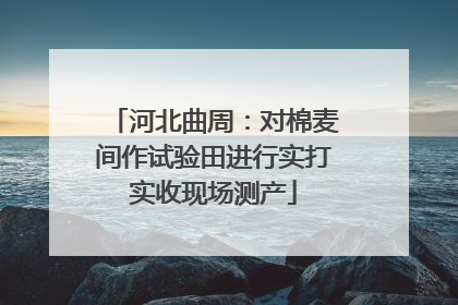 河北曲周：对棉麦间作试验田进行实打实收现场测产
