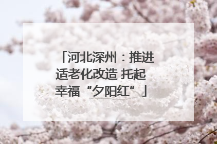 河北深州：推进适老化改造 托起幸福“夕阳红”