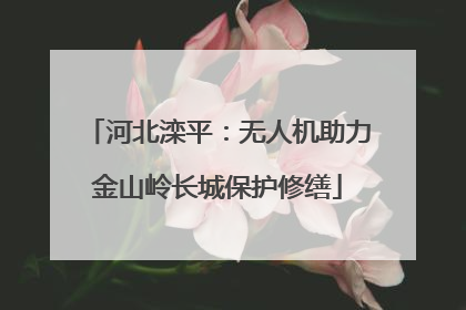 河北滦平：无人机助力金山岭长城保护修缮