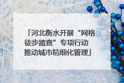 河北衡水开展“网格徒步踏查”专项行动 推动城市精细化管理