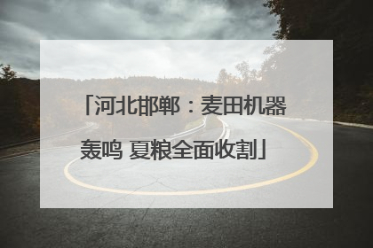 河北邯郸：麦田机器轰鸣 夏粮全面收割
