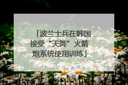 波兰士兵在韩国接受“天舞”火箭炮系统使用训练