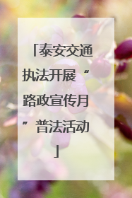 泰安交通执法开展“路政宣传月”普法活动