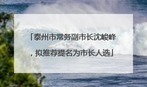 泰州市常务副市长沈峻峰，拟推荐提名为市长人选