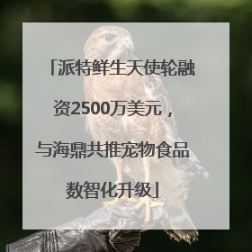 派特鲜生天使轮融资2500万美元，与海鼎共推宠物食品数智化升级