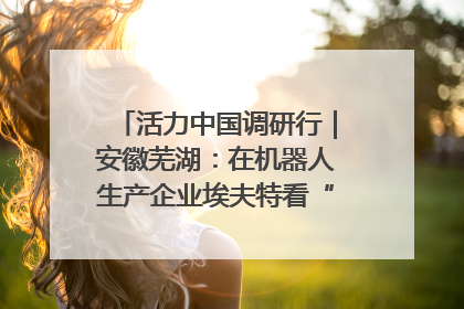 活力中国调研行｜安徽芜湖：在机器人生产企业埃夫特看“中国智造”