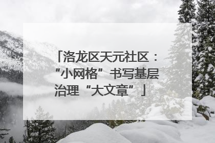 洛龙区天元社区：“小网格”书写基层治理“大文章”