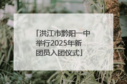 洪江市黔阳一中举行2025年新团员入团仪式