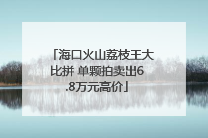 海口火山荔枝王大比拼 单颗拍卖出6.8万元高价