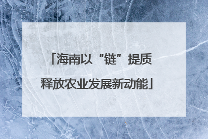 海南以“链”提质 释放农业发展新动能