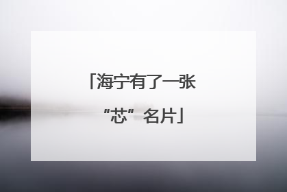 海宁有了一张“芯”名片