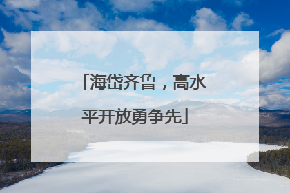 海岱齐鲁，高水平开放勇争先