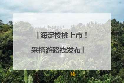 海淀樱桃上市！采摘游路线发布