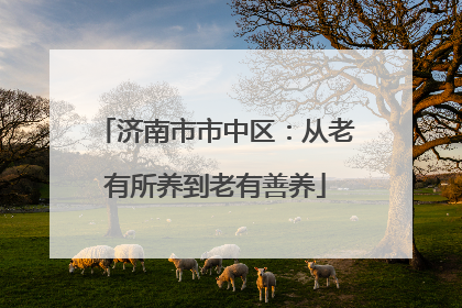 济南市市中区：从老有所养到老有善养