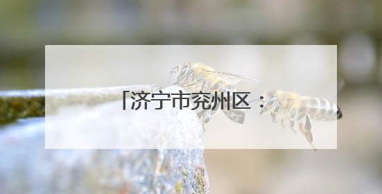 济宁市兖州区：夏粮丰收背后有“智慧田管”
