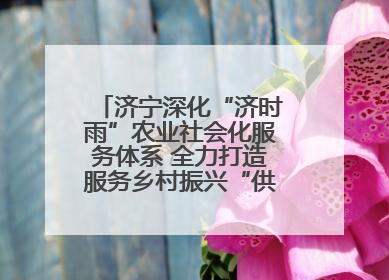 济宁深化“济时雨”农业社会化服务体系 全力打造服务乡村振兴“供销样板”