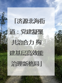 济源北海街道：党建凝聚共治合力 构建基层高效能治理新格局