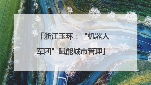 浙江玉环：“机器人军团”赋能城市管理