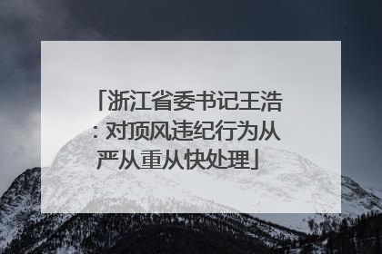浙江省委书记王浩：对顶风违纪行为从严从重从快处理