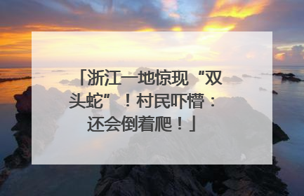 浙江一地惊现“双头蛇”！村民吓懵：还会倒着爬！