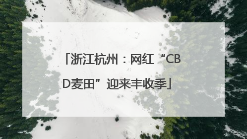 浙江杭州：网红“CBD麦田”迎来丰收季