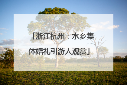 浙江杭州：水乡集体婚礼引游人观赏