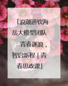 浪潮通软海岳大模型团队：青春逐浪，智启新程｜青春思政课