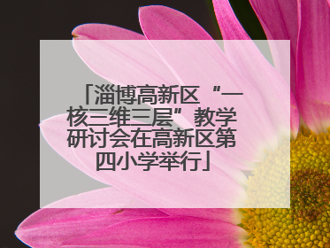 淄博高新区“一核三维三层”教学研讨会在高新区第四小学举行