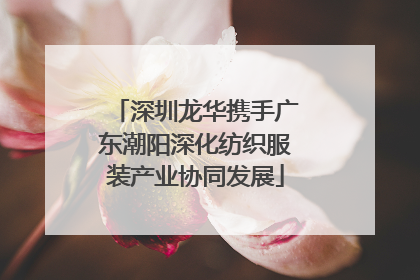 深圳龙华携手广东潮阳深化纺织服装产业协同发展