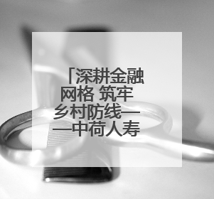 深耕金融网格 筑牢乡村防线——中荷人寿大连分公司开展金融教育网格化宣传活动