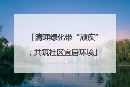 清理绿化带“顽疾”，共筑社区宜居环境