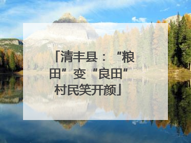清丰县：“粮田”变“良田”村民笑开颜