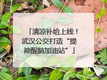 清凉补给上线！武汉公交打造“提神醒脑加油站”
